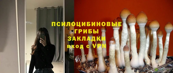 индика Волгодонск