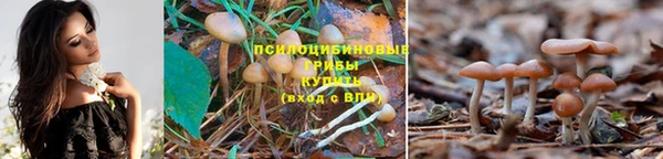 кокаин Касимов