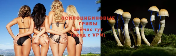 первитин Инсар