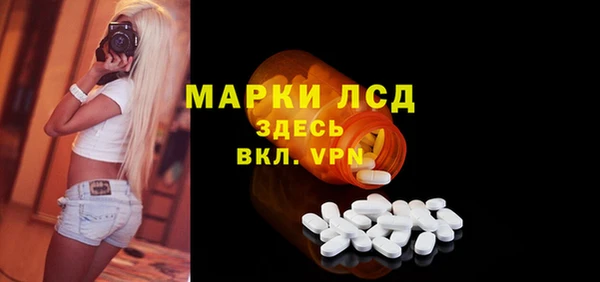 spice Карпинск