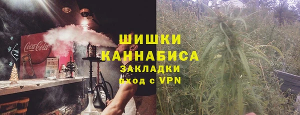 spice Карпинск