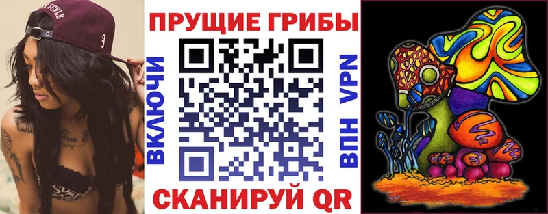 Галлюциногенные грибы Psilocybine cubensis Ленинск
