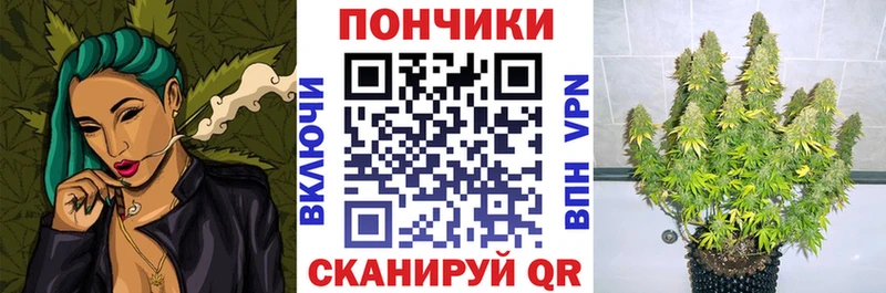 Конопля Amnesia  Ленинск 